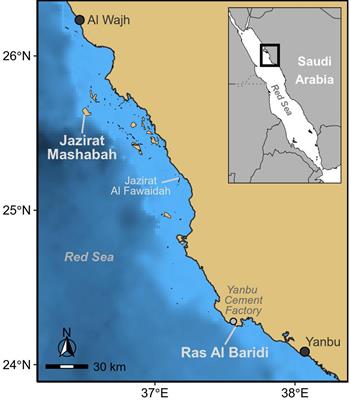 Satellite Tracking Reveals Nesting Patterns, Site Fidelity, and Potential Impacts of Warming on Major Green Turtle Rookeries in the Red Sea